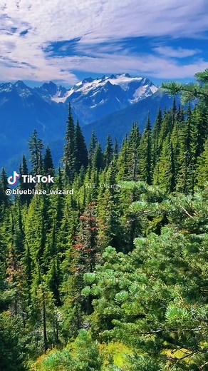 MT. Olympus via high divide trail-Olympic National Park 🏔️🌲 #olympicnationalpark #washington #travel #hikingadventures #mountainview
