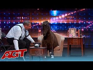 LOL! Animals Got NO Talent on America's Got Talent!