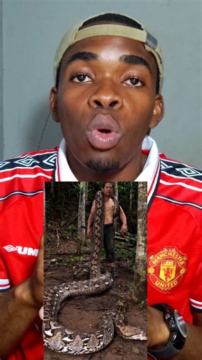 JUHUDI KISUSE on Instagram: "Nyoka mrefu zaidi kuwahi kupimwa kwa uhakika porini ana urefu wa mita 7.22 (sawa na futi 23 na inchi 8) kutoka kichwa hadi mkia. Ni chatu jike aina ya reticulated python anayeitwa Ibu Baron (“The Baroness”). Nyoka huyo aligunduliwa hivi karibuni katika eneo la Maros, Sulawesi – Indonesia mwishoni mwa mwaka 2025 na kupimwa na Diaz Nugraha pamoja na Radu Frentiu tarehe 18 Januari 2026. Kwa sasa, Ibu Baron yuko chini ya uangalizi wa mhifadhi wa wanyamapori wa eneo hilo.