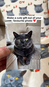 NEW Product - Custom Pet Pattern🐾 Looking for a fun way to celebrate your furry best friend? Turn their photo into a personalised pattern on blankets, pillows, towels or tote bags. How it works in 3 simple steps: 1️⃣ Upload a clear photo of your pet 2️⃣ Select the season (☀️🍁❄️🌸) style pattern layout 3️⃣ Add your unique pet pattern on a blanket, cushion, towel or tote bag 💡 Pro tip: For best results, make sure your pet is the main focus, looking at the camera, and avoid a background that ble
