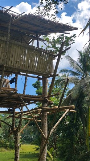 Project tree house DAY 15 | Gongs Vlog