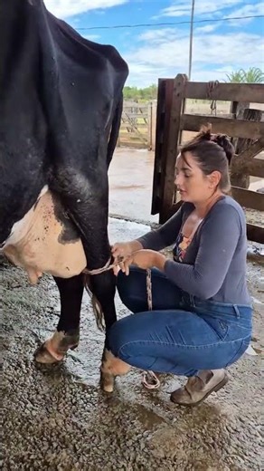 1. How to Milk a Cow 🐄 | Real Farm Life Experience #villagelife #farming #rurallife #cow