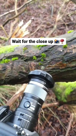 2.1M views · 130K reactions | Macro Micro World on Reels | Facebook