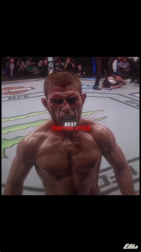 UFC Best Fighting Style Explained | Which Style Dominates MMA?