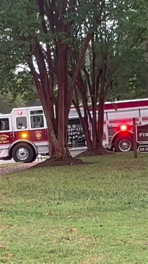 Raleigh engine 15 & ladder 15 responding #gogetembrothers #fireman #firefighter