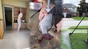 Hard Work Pays Off in the Most Satisfying Ways