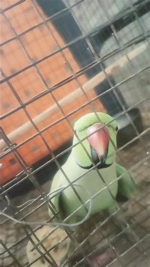 🙏🏻🙏🏻🙏🏼🙏🏼🙏🏼🙏🏼🙏🏻🙏🏻