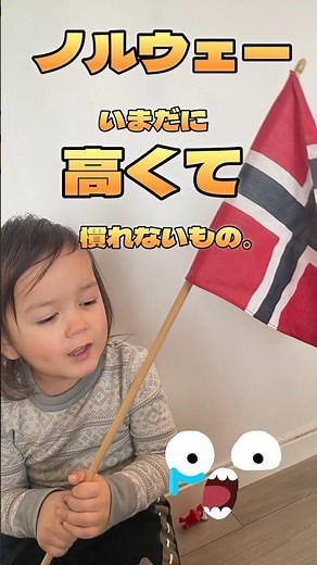 北欧ノルウェー🇳🇴で高いと思う食べ物は… ｜ノルウェーで安くて美味しいものってあるのかな…