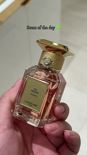 ✨ Scent of the Day ✨ Today I’m wrapped in the elegance of Guerlain Iris Pallida Extrait 6 — a fragrance that feels like silk on skin, soft yet powerful, timeless yet modern. 🌸💎 Not just a perfume, it’s a statement. Would you wear this as your signature scent? 👀 #PerfumeTok #FragranceTok #ScentOfTheDay #PerfumeLovers #luxuryfragrance @Guerlain