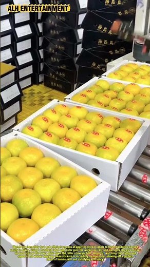 Super Fast Fruit Labeling Process | Satisfying Modern Fruit Packing
