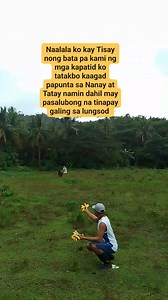 Naalala ko kay Tisay nong mga bata pa kami ng mga kapatid ko tatakbo kaagad papunta sa Nanay at Tatay namin dahil may pasalubong na tinapay galing sa lungsod #tisay #kafarmers #simplengbuhay #buhayprobinsya | Nelson Llenes