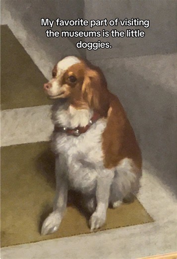 Dogs at Museums: The Best Part of Every Visit