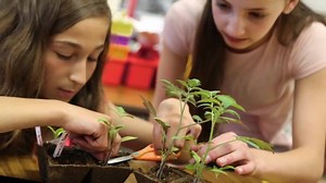 The NJEA supports limiting the role of high-stakes testing in schools, so students can grow and develop into well-rounded individuals. | New Jersey Education Association