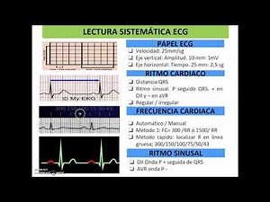 ELECTROCARDIOGRAMA