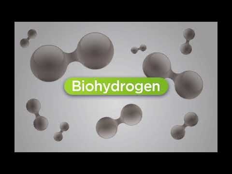Biohydrogen production