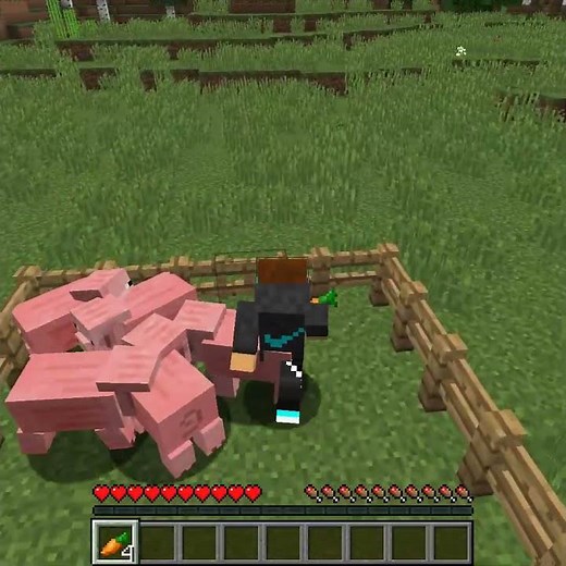 🦘You Can Jump Over Fence