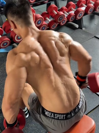 Complete Back Workout with One Dumbbell Exercise