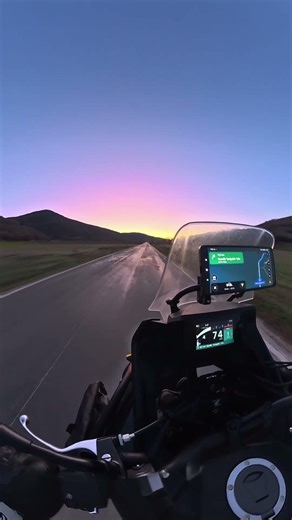 Golden Hour in the Wild 🌲✨