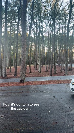 Hilarious Parking Fail Moments