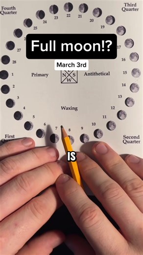 Unlocking Insights: Book of Wisdom Vol. 1 & 2