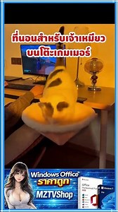 A cat bed on the computer desk.