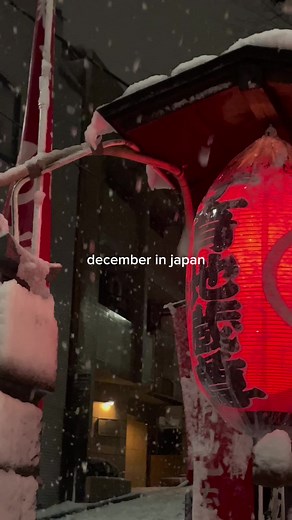 Exploring Beautiful Snowy Tokyo in Winter