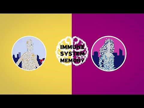 EAACI explains food allergy