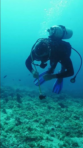 🤿🌊 Deep Sea Divers | Exploring the Ocean's Hidden Depths
