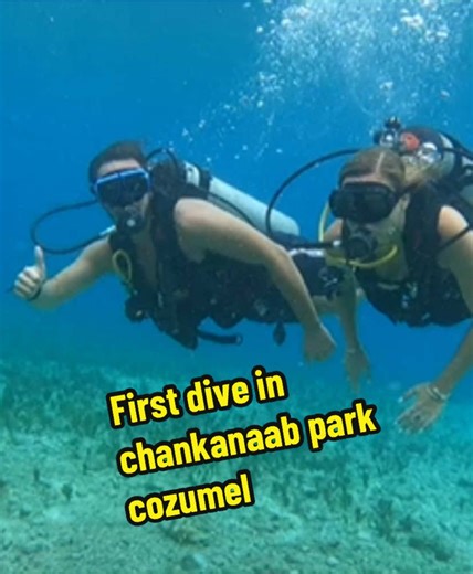 Buceo Familiar en Chankanaab Cozumel