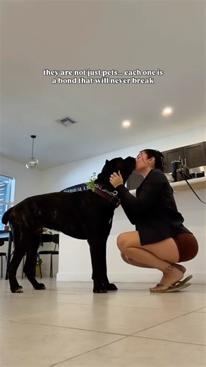 Luchi Del Mar | a feeling we can’t describe 🩶 | Instagram