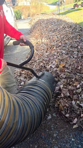 Got leaves 🍃 🍁🍂 give us a call will show up 8287342266 | Lopez landscaping and tree service