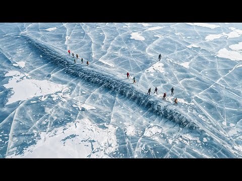 Scientists Woke Up a 24,000-Year-Old Frozen Animal