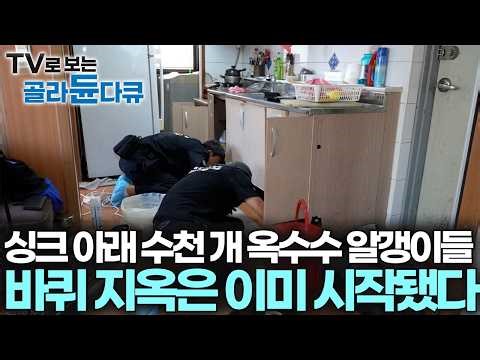 날 따뜻해지니 집안을 당당히 활보하고 다닌다, 한참을 방치된 집 안에서 방심하던 바퀴벌레 한방에 박멸한 작업자들｜극한직업｜#골라듄다큐