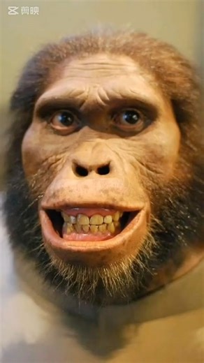 The Evolution of Humanity