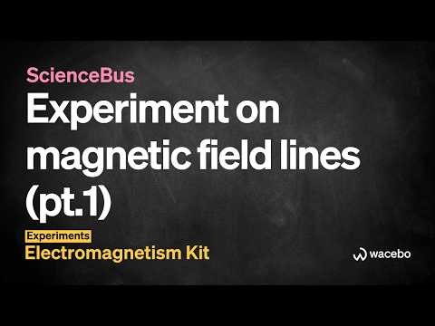 ScienceBus / Magnetic Field Lines (Pt.1): Iron Filings Experiment
