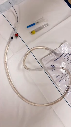 @nurse.inside on Instagram: "In this video, it is shown how to easily and hygienically collect a urine sample for sediment analysis or culture."