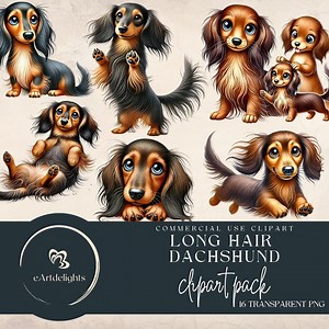 Long Hair Dachshund Clipart: Watercolor Dog Graphics (PNG) - Etsy