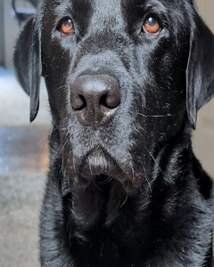 VRK Studios on Reels