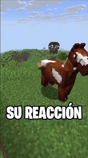 These ARE the BEST TRICKS in ALL OF MINECRAFT #minecraft