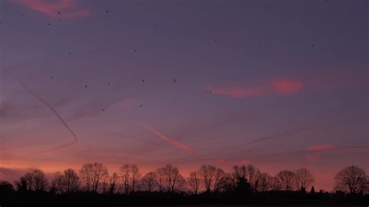 Sunrise, Sunset, Landscape. Free Stock Video