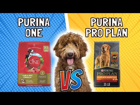 Purina ONE vs Purina Pro Plan: What's the Difference? | Expert Comparison