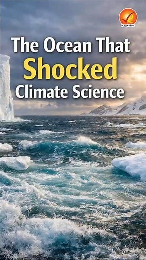 The Southern Ocean That Surprised Scientists — Absorbing MORE CO₂ Instead of Releasing It