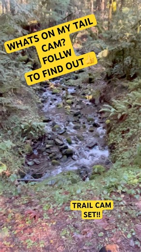 SETTING UP MY TRAIL CAMERA? Follow me to see what I see #beautiful #nature #new #outdoors