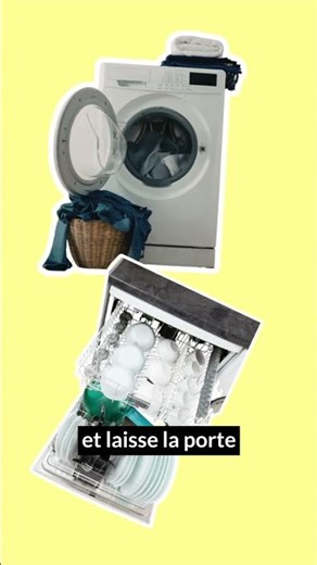 🙀⚠️ And you, is your cat interested in it too, or...not at all? #cat #cats