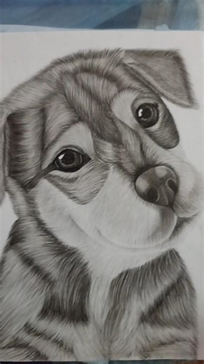 🐶 Realistic Dog Drawing | Pencil Sketch Step by Step✨ Cute Puppy Drawing 🐾 | Easy & Realistic Art🖤