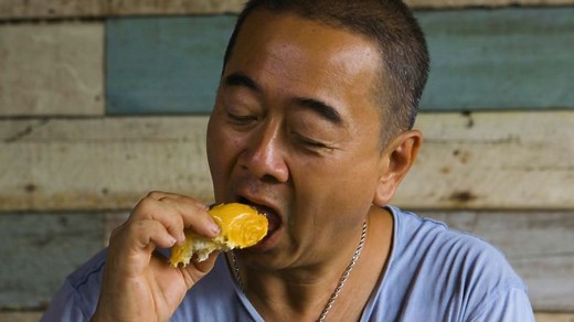 Durian fruit: A smell so rotten, a taste so sweet