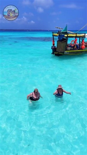 On vous emmène à Mnemba island (Zanzibar )+255774274059