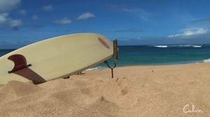 What are you doing for fun this weekend? | Calm