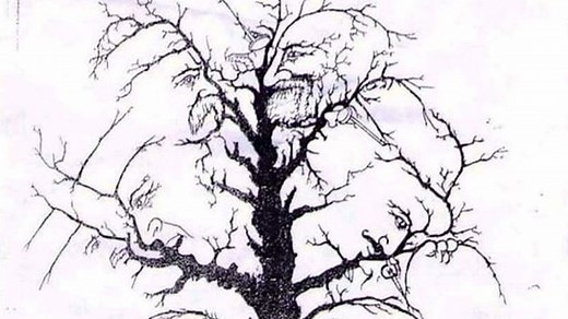 Everyone can spot the tree - but only the top 1% can find the 10 faces hiding