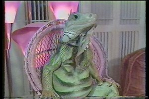 America's Funniest Home Videos on Instagram: "Celebrating #flashbackfriday with this clip!"